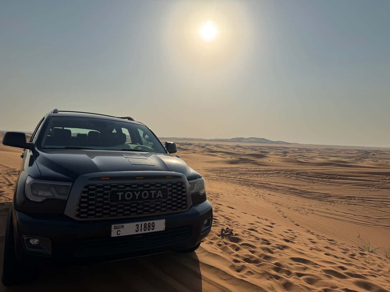 Водитель профессионал, шоу отличное, еда так себе. Море впечатлений