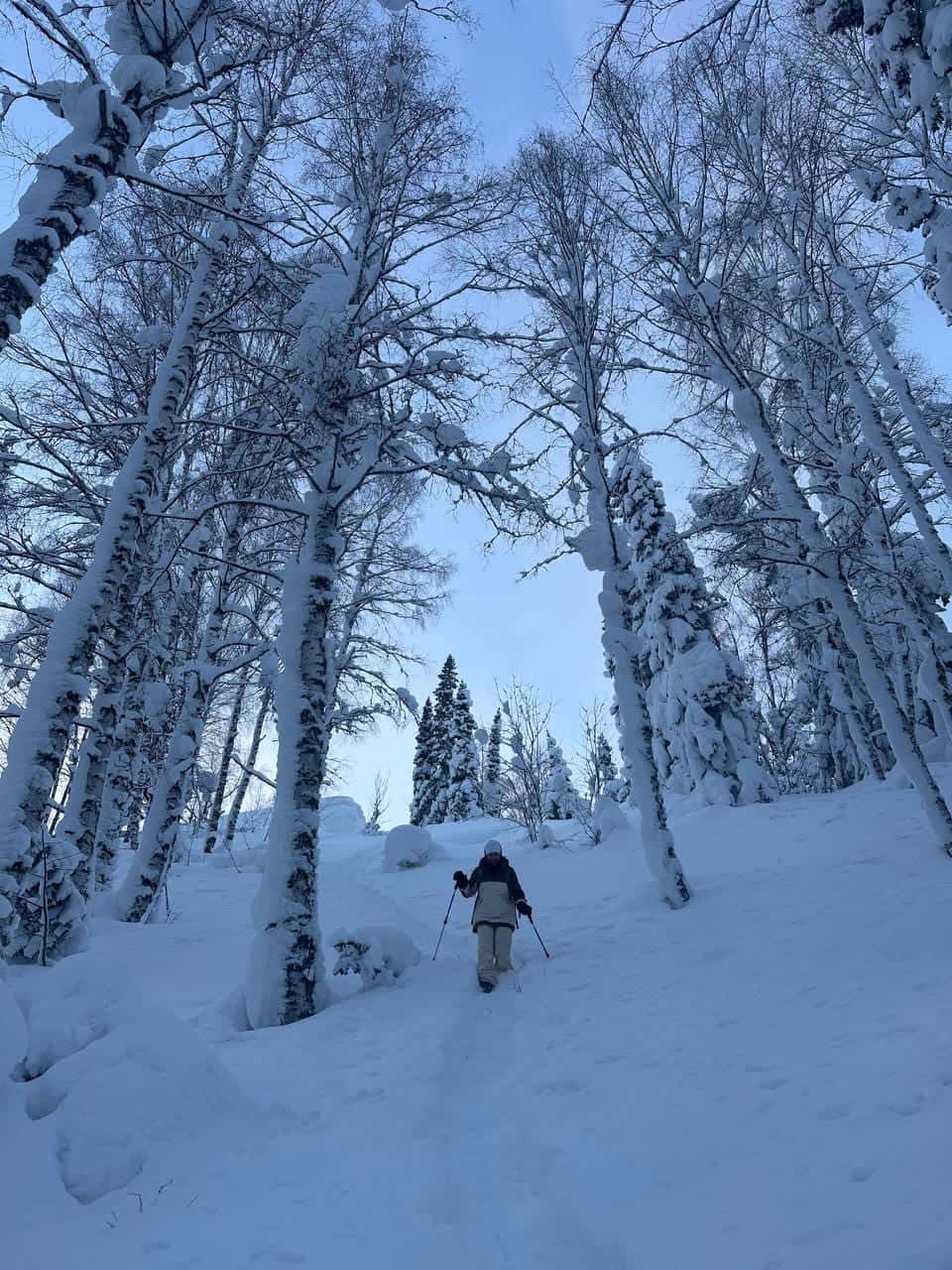 Замечательная прогулка по зимнему лесу. Незабываемый опыт ходьбы на снегоступах, это не сложно, интересно и необычно.