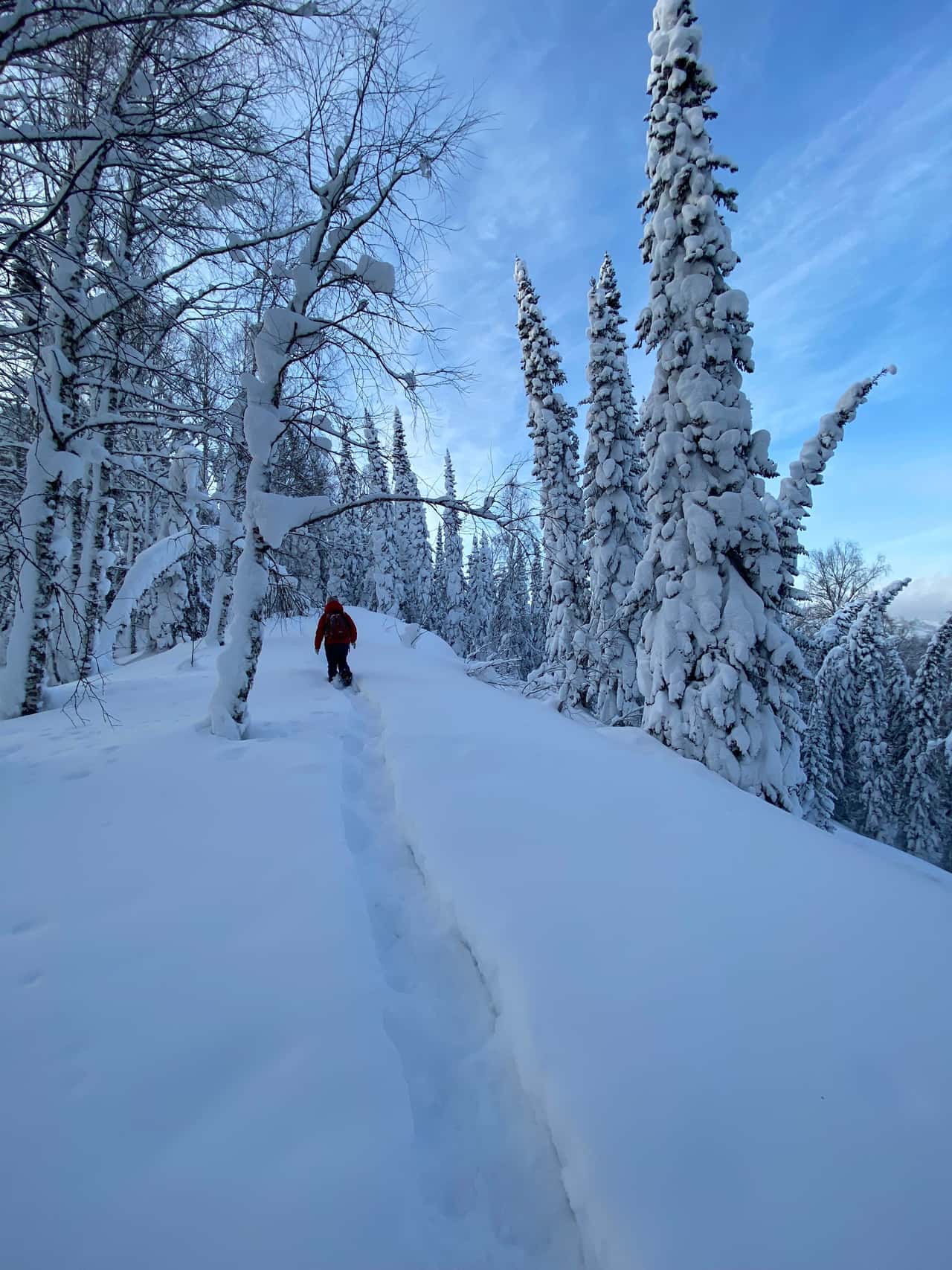 Замечательная прогулка по зимнему лесу. Незабываемый опыт ходьбы на снегоступах, это не сложно, интересно и необычно.