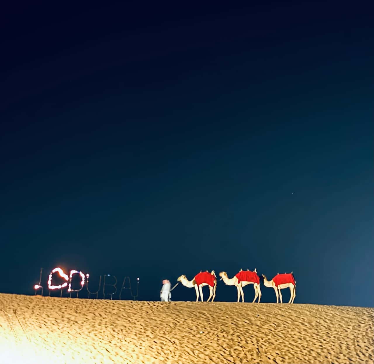 Водитель профессионал, шоу отличное, еда так себе. Море впечатлений