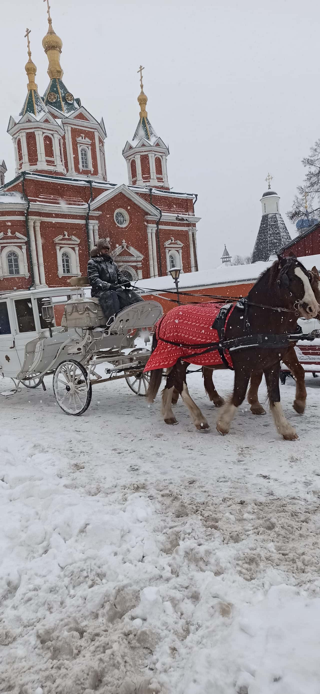 Экскурсию провела опытный гид Наталья. Все очень интересно и познавательно!