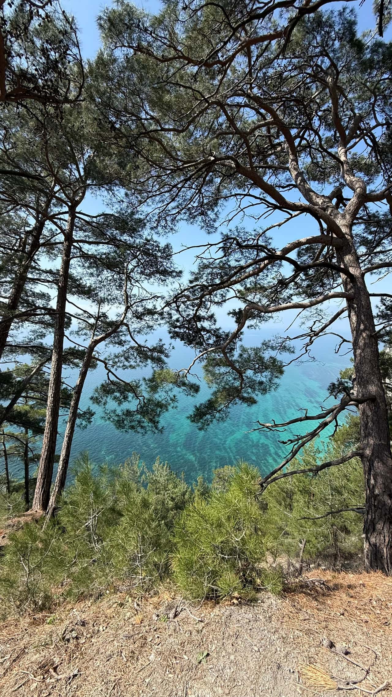 Александр,провел замечательную экскурсию.