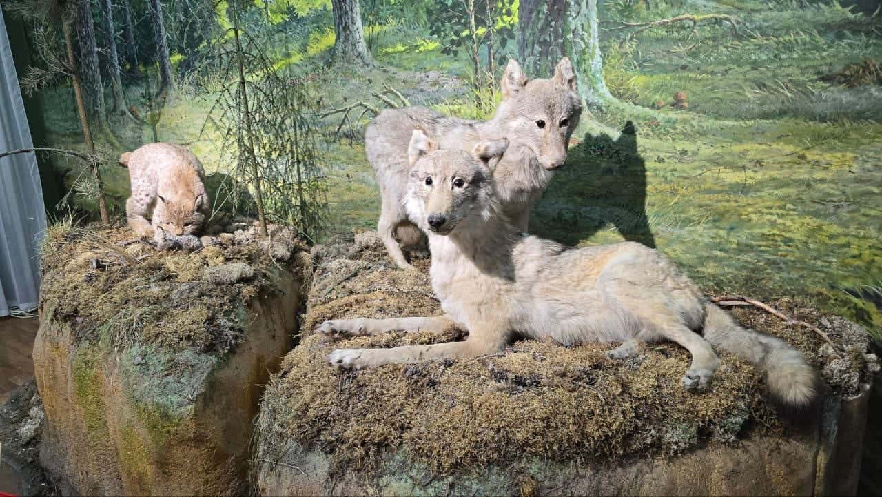 Отличная экскурсия. Экскурсовод Евгений очень интересно все рассказывает, ответил на все наши многочисленные вопросы. Музей прекрасный,