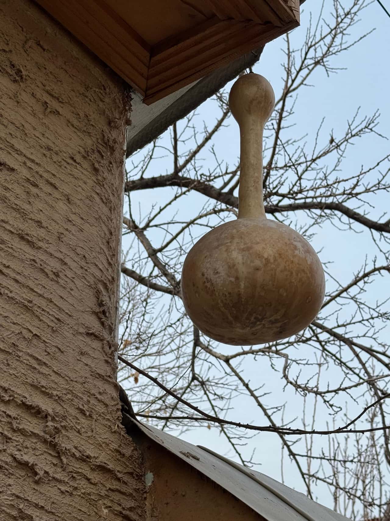 Замечательная экскурсия получилась с Бахадыром,нашим сегодняшним гидом-интересная,вкусная,атмосферная,спасибо!