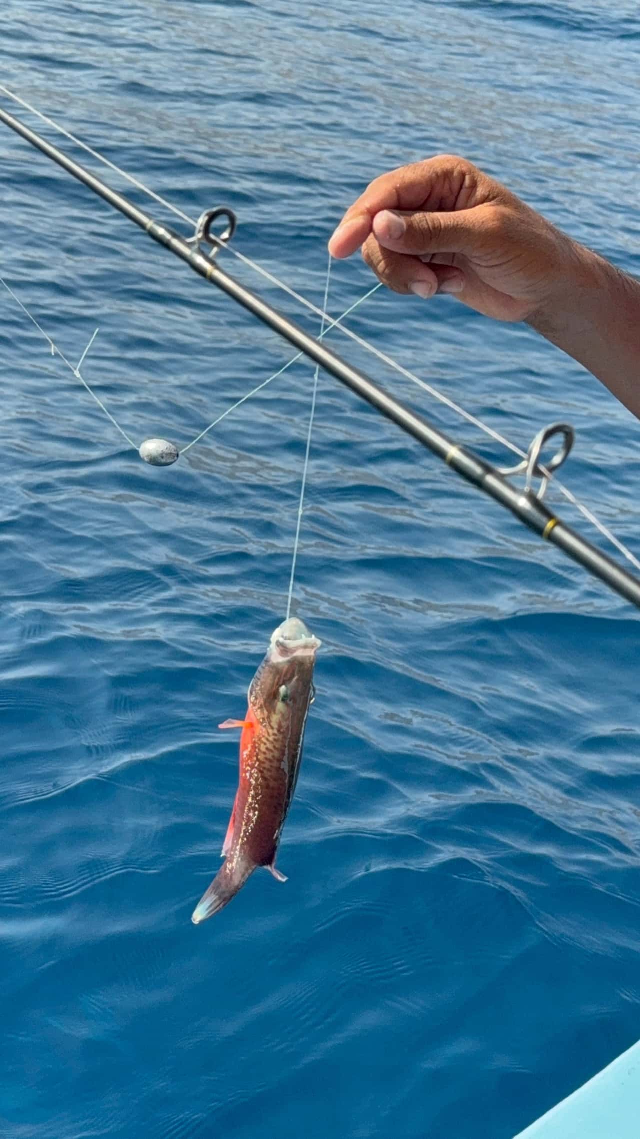 Привет из Москвы! Спасибо Валиду от всех нас за чудесную прогулку рыбалку! Все четко, вовремя, очень