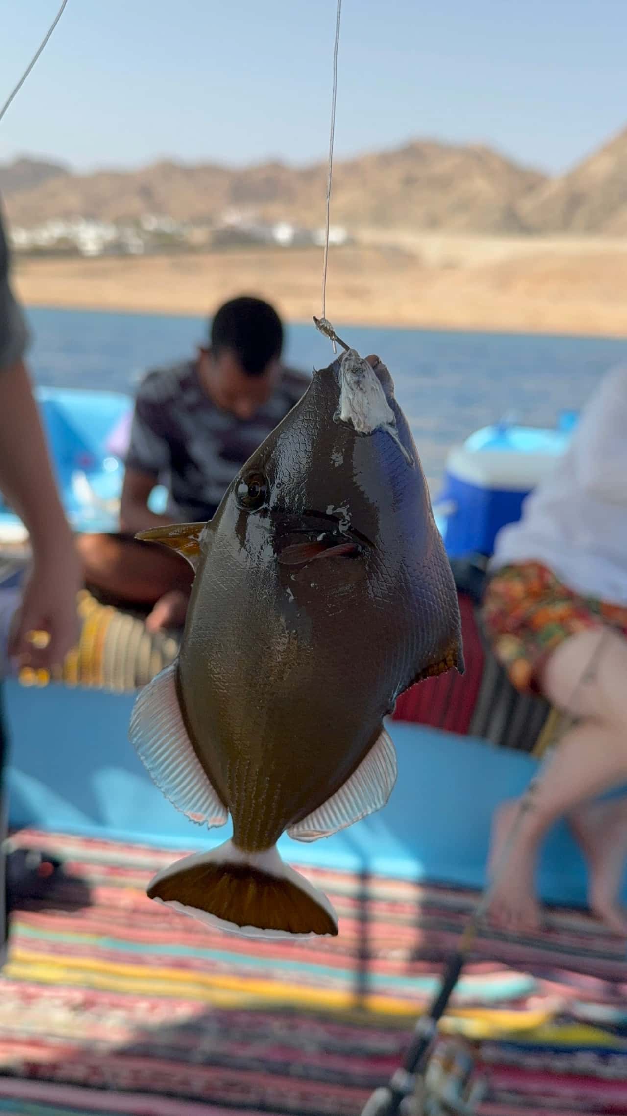 Привет из Москвы! Спасибо Валиду от всех нас за чудесную прогулку рыбалку! Все четко, вовремя, очень