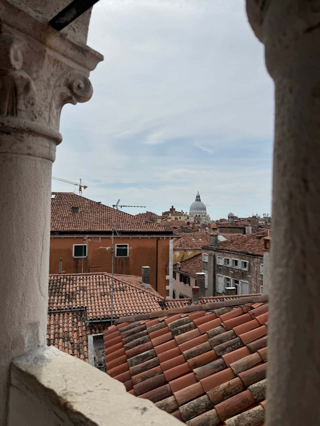 Наша семья гуляла по крышам вместе с Анжелой в апреле. Очень положительные впечатления от экскурсии и