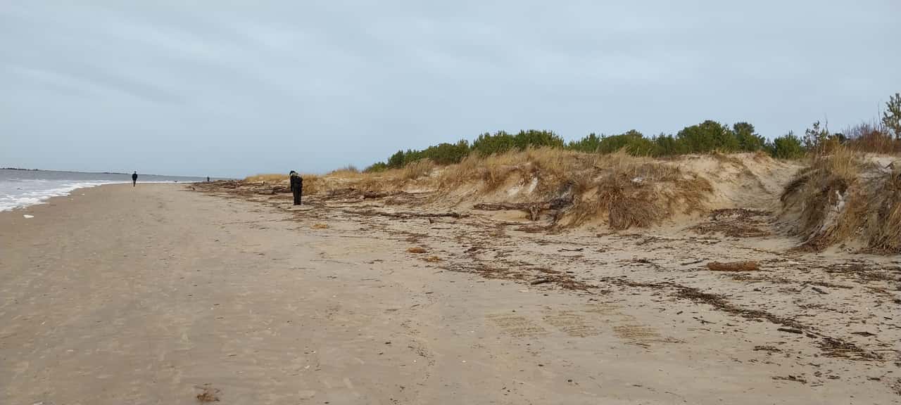 Очень информативная поездка и удобная организация.