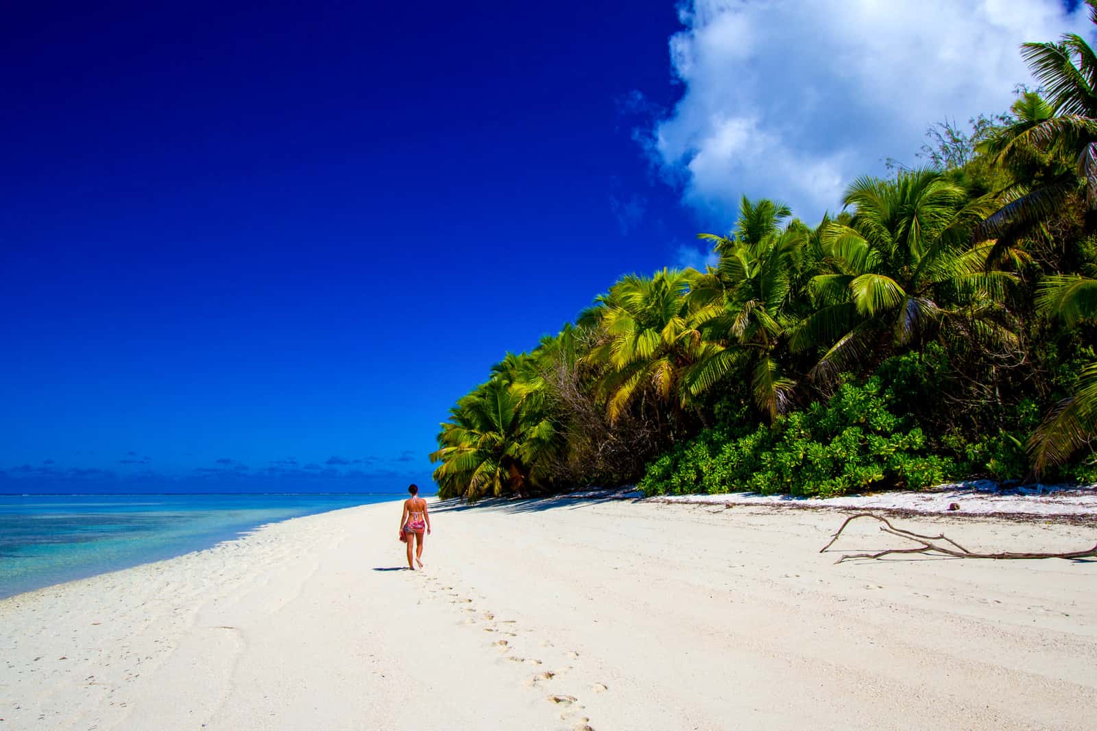Фото Сейшельских островов (28 шт.) — фотографии 2024 с описанием