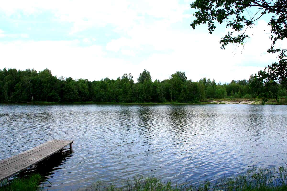 озера для рыбалки в санкт- петербурге