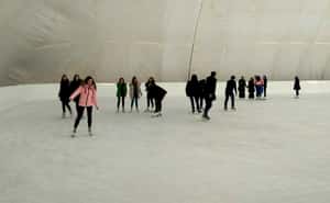 Ледовая арена «Royal Ice»