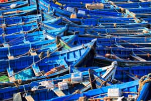 Медина Эссуэйра, знаменитые голубые лодки