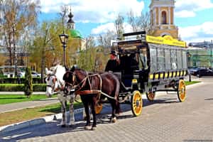 Все желающие могут прокатиться на конной повозке