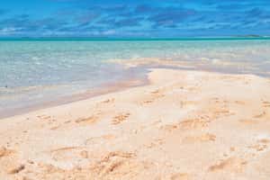 Обязательно посетите пляж Pink Sands