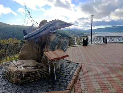 Потрясающая смотровая площадка "Царь-рыба"