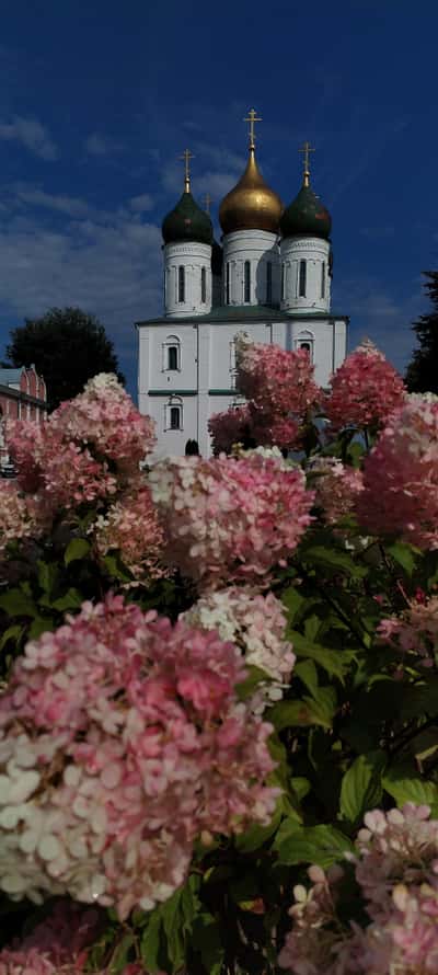 Экскурсия по улицам Коломенского Кремля