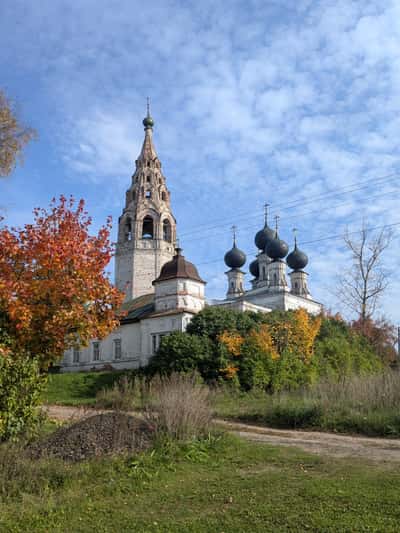 Тропа Сусанина, небо Саврасова, скакуны Скалозубова. Путешествие в Сусанино
