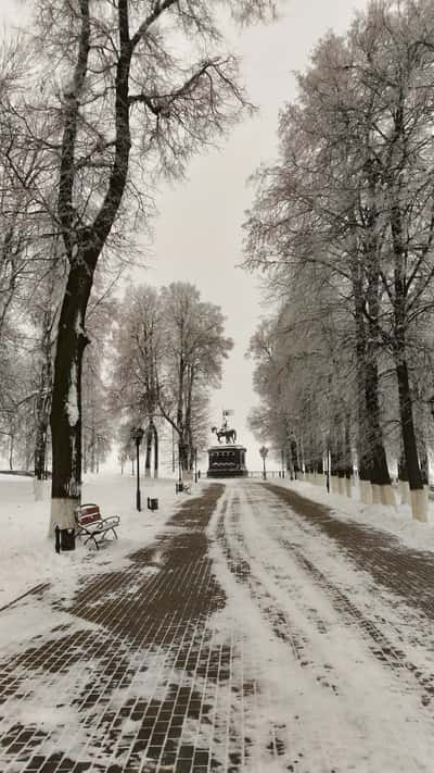 Индивидуальная прогулка по Владимиру с гидом