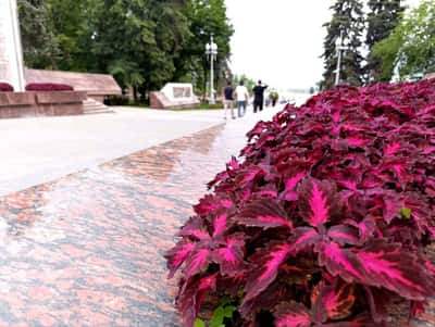 Пешеходный квест «Знаки вселенной по-волгоградски»