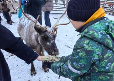 Выходные на Кольском полуострове. Осенне-зимний тур
