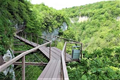 Автобусный тур по городу Кутаиси и его окрестностям