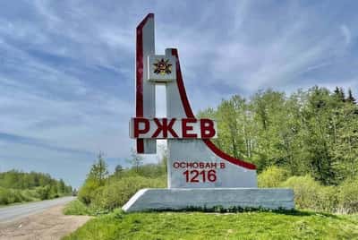 А превратились в белых журавлей