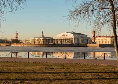 Ноябрьские праздники в Петербурге