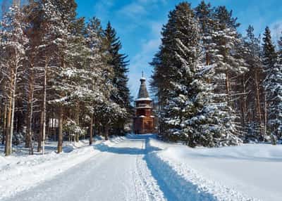 Новогодние каникулы в Архангельске