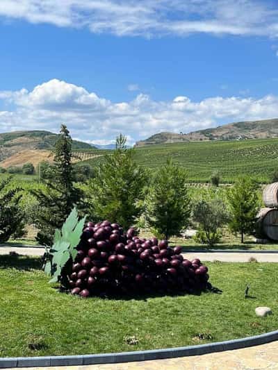 Фирменный отдых: горы, ремесло, вино