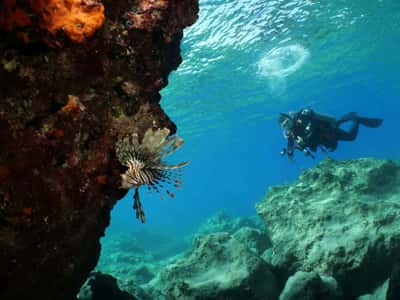 Опыт дайвинга для новичков с профессиональным инструктором в Нячанге