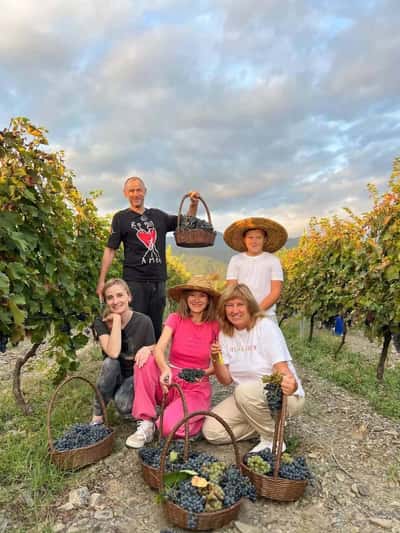 От лозы до тостов: Организованный Ртвели с традиционным застольем