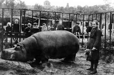 Как они выжили: быт блокадного Ленинграда