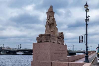 Криминальный Петербург: мошенники, кражи, «Кресты»