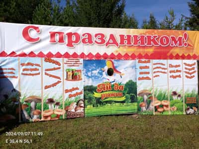 «Ай да Рыжик» ФЕСТИВАЛЬ.С. Верх Юсьва