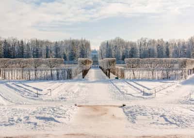 Новый год в Петербурге с детьми
