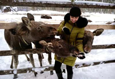 Поездка на Сумароковскую лосиную ферму