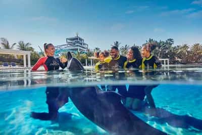 Плавание с дельфинами в Atlas Village (+ аквапарк Aquaventure)