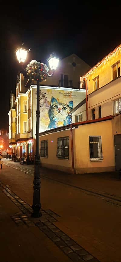 Янтарное ожерелье: Янтарный, Светлогорск, Зеленоградск