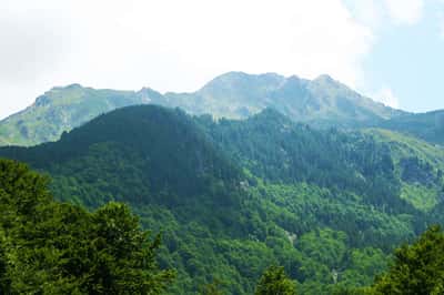 Автобусный тур по городу Кутаиси и его окрестностям