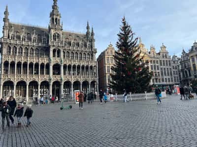 Два города: Брюссель и Антверпен за один день