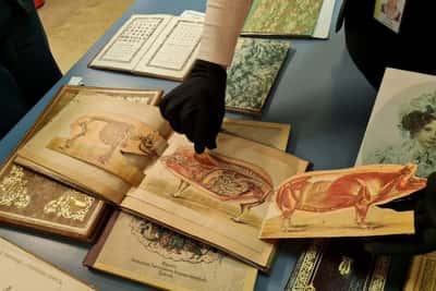 Сокровища Ленинки: главная библиотека страны
