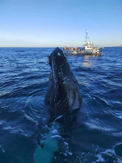 Про русскую Арктику. В Териберку одним днем