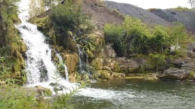 Путь здоровья «Зверобой»: спокойствие и умиротворение