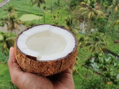 Северный Гоа: деревня Мулгао и кокосовые рощи (на английском)