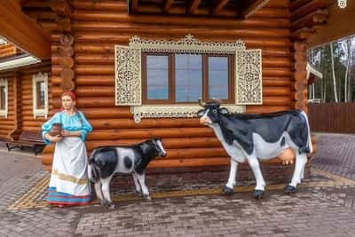 Вкус Александровского сырка: экскурсия с дегустацией