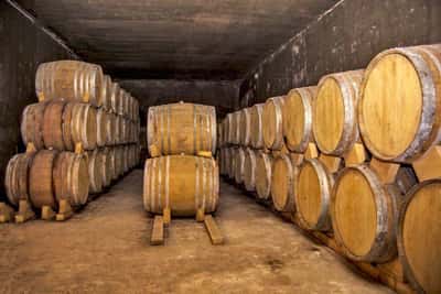 Легендарный Хор Вирап и винодельня Тушпа 🍇