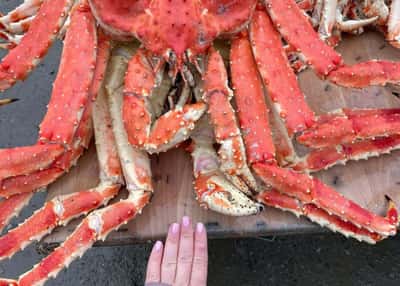 Нереальный Сахалин. Водопады, мысы и заповедный остров Монерон