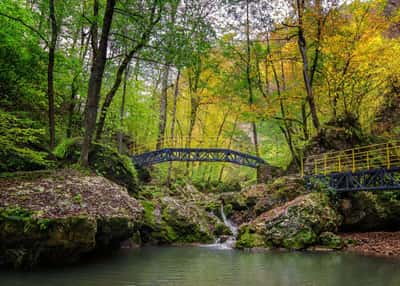 Красоты Адыгеи. Экскурсионный тур