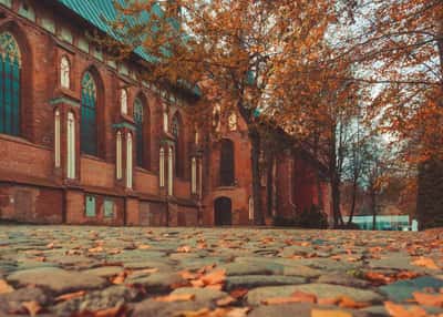 Янтарная мозаика. Национальный маршрут по Калининградской области с ноября по март