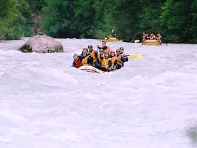 Рафтинг на реке Тара